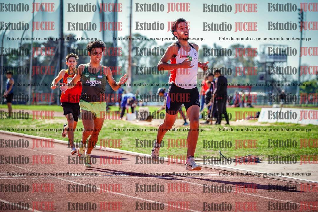 Fotos de los 800 m llanos de varones