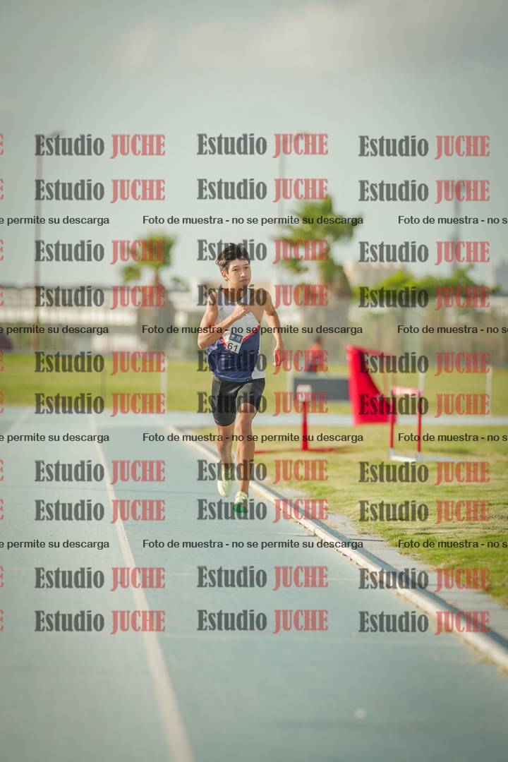 Fotos de los 800 m llanos de varones