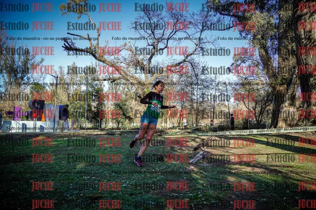 Fotos en el quinto punto del circuito