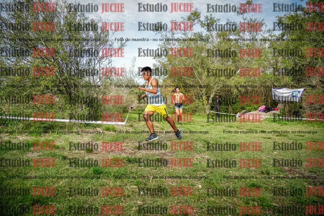Fotos en el circuito