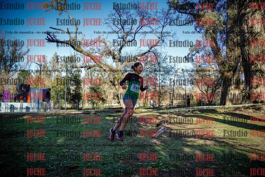 Fotos en el quinto punto del circuito