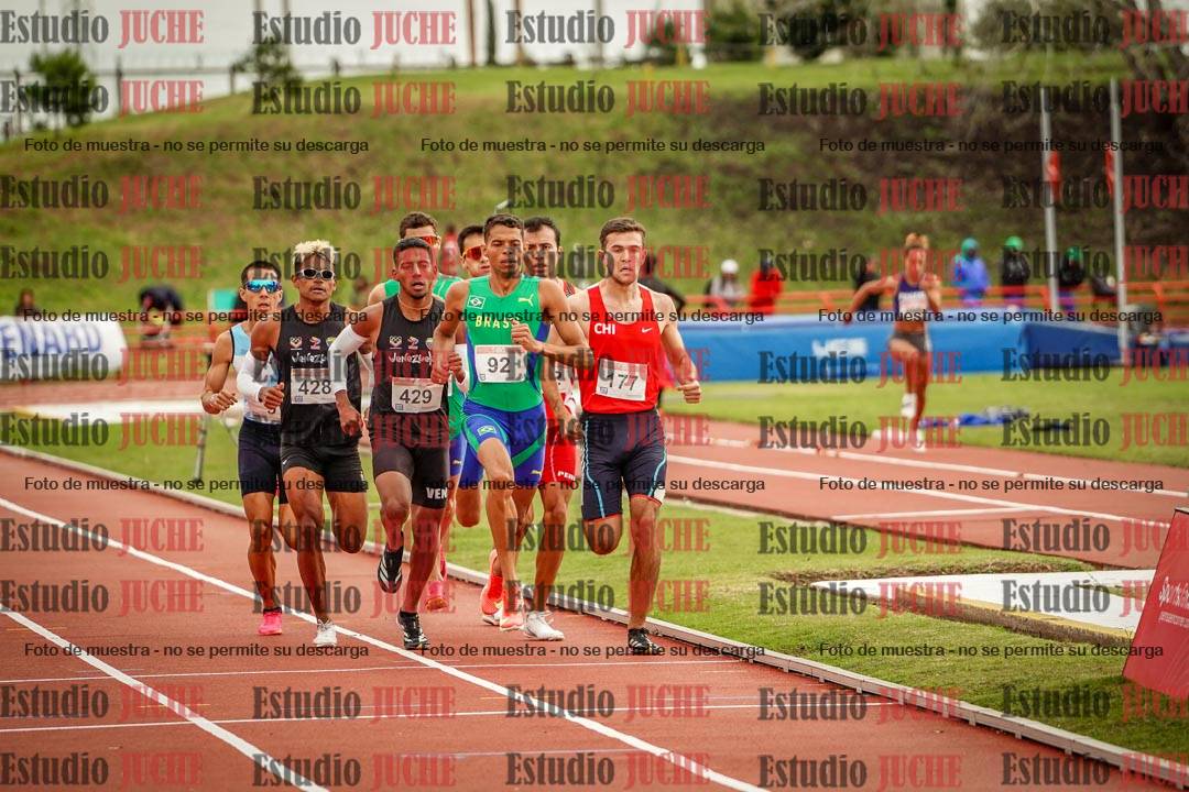 Fotos de los 800 m llanos de varones - FINAL