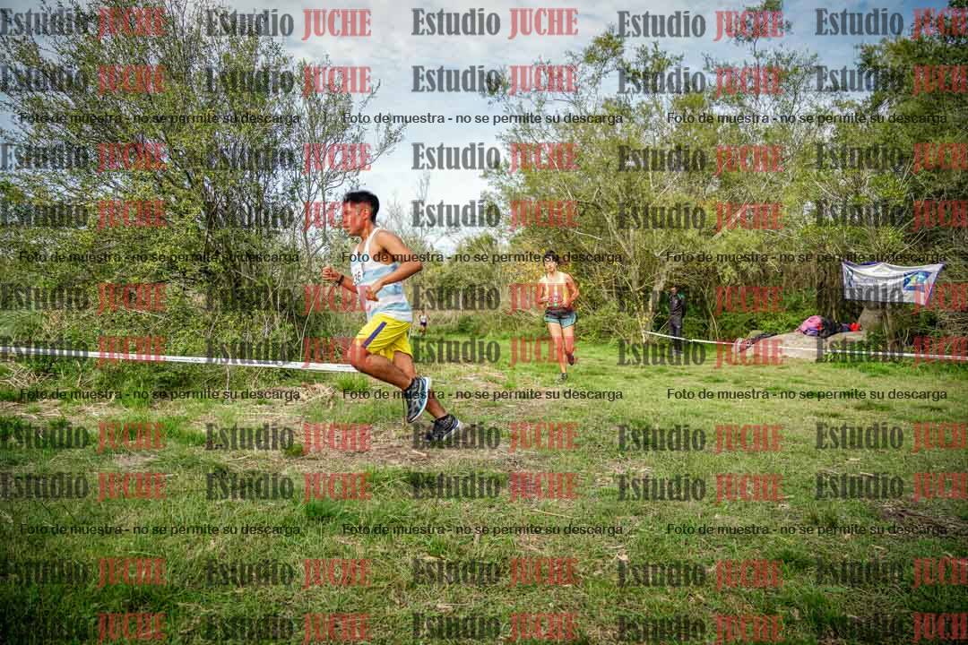 Fotos en el circuito