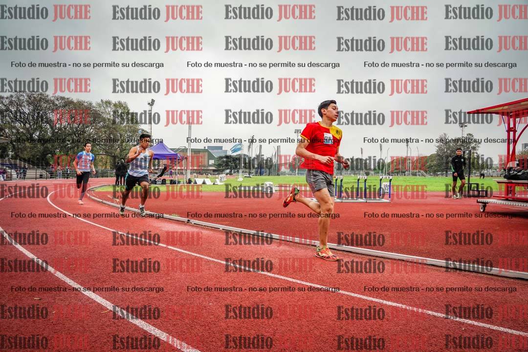 Fotos de los 800 m llanos de varones