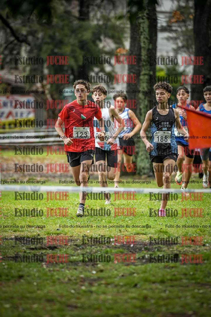 Fotos en el circuito