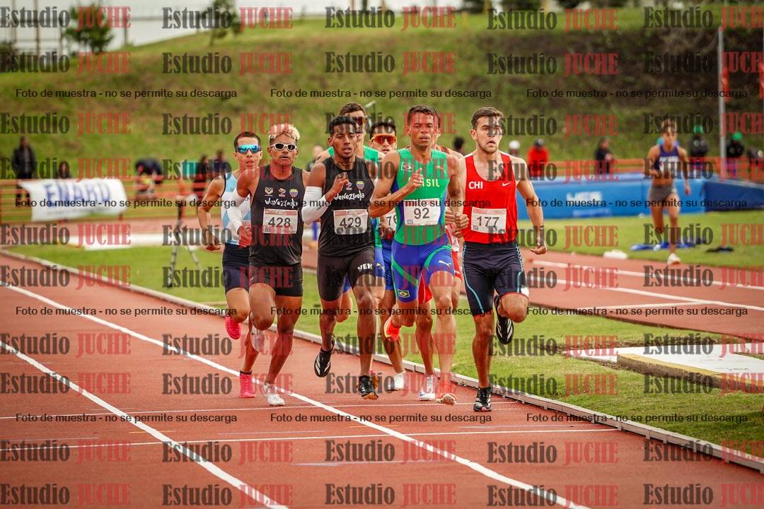 Fotos de los 800 m llanos de varones - FINAL