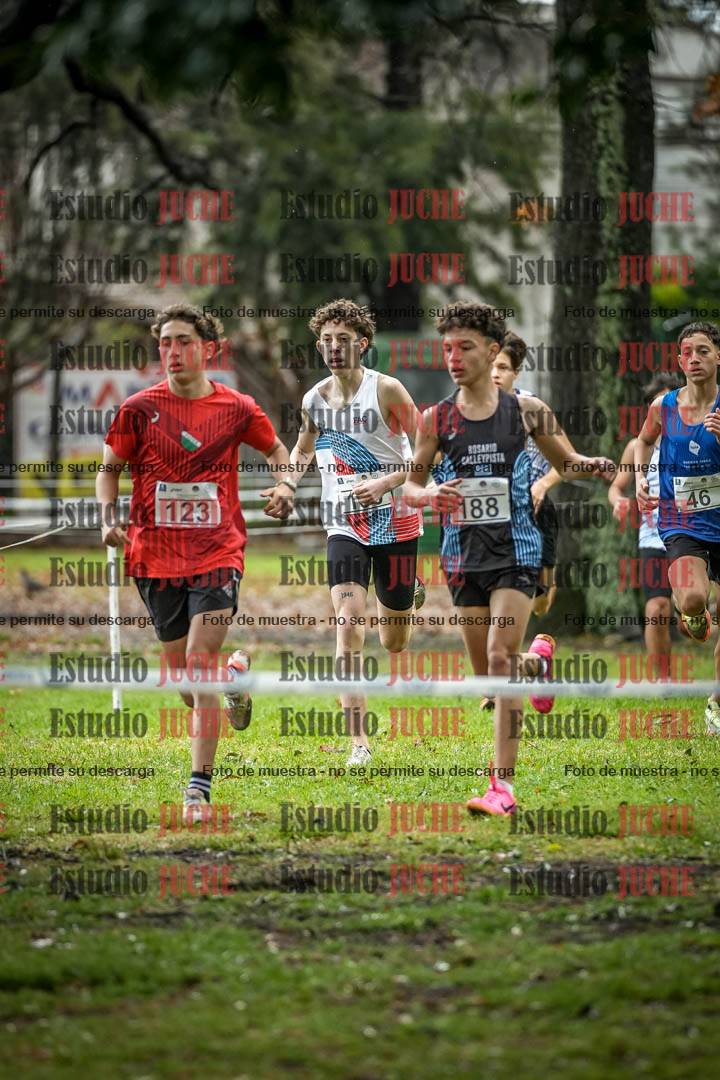 Fotos en el circuito