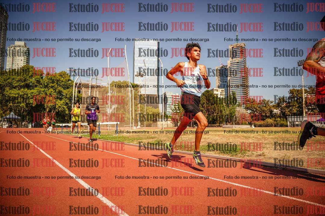 Fotos de los 3000 m llanos de varones