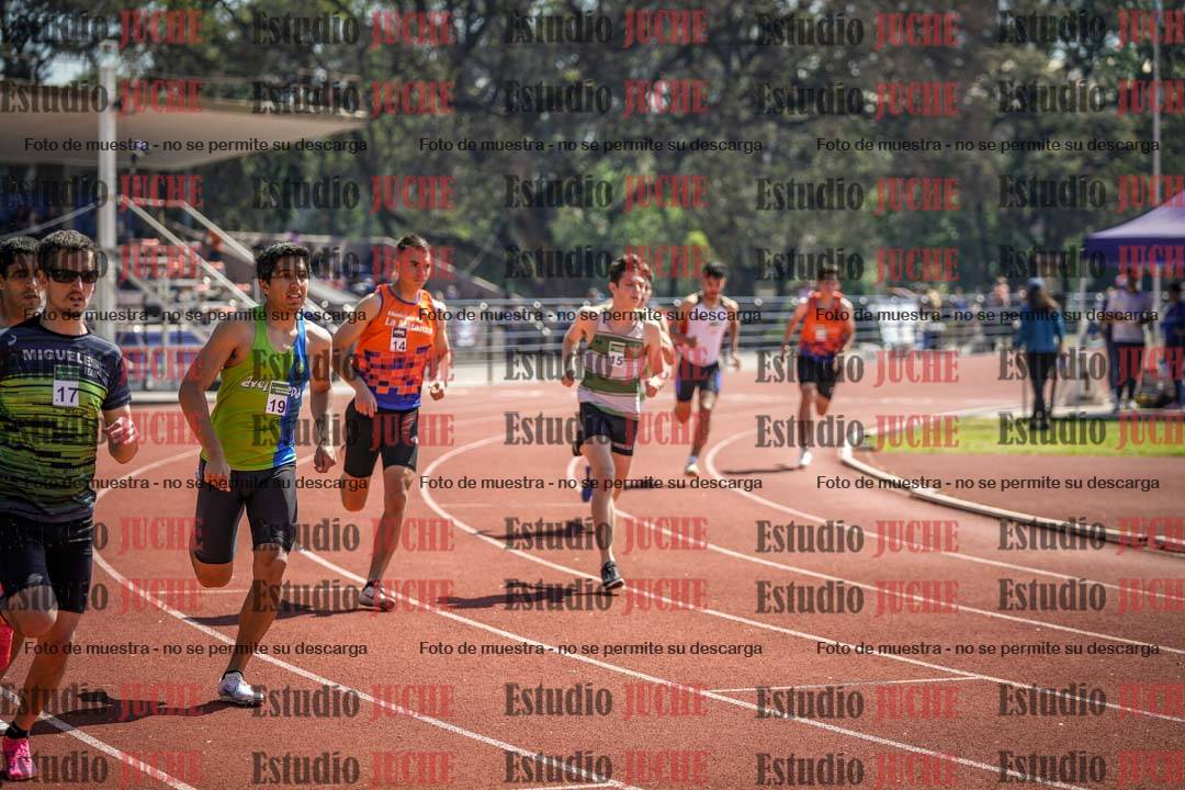 Fotos de los 800 m llanos de varones