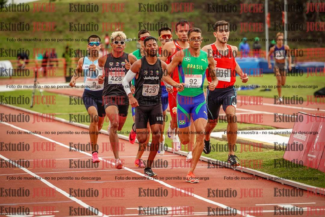 Fotos de los 800 m llanos de varones - FINAL