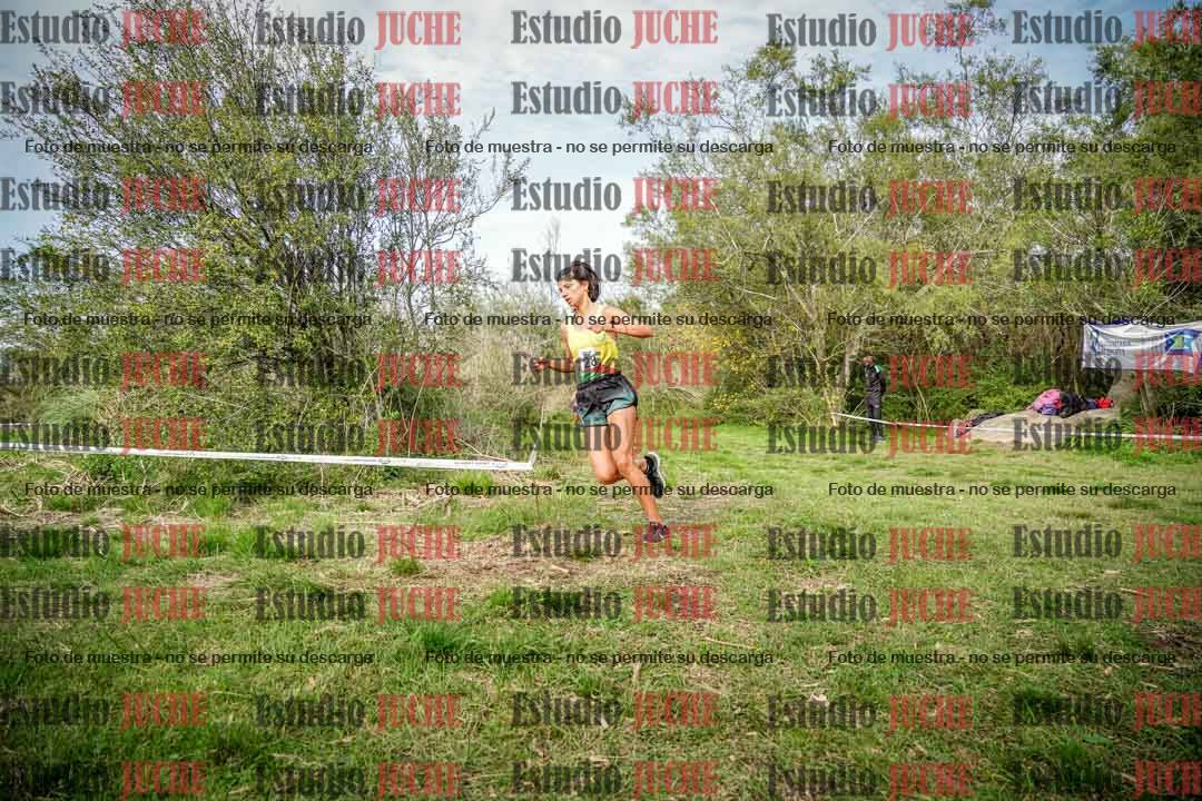 Fotos en el circuito