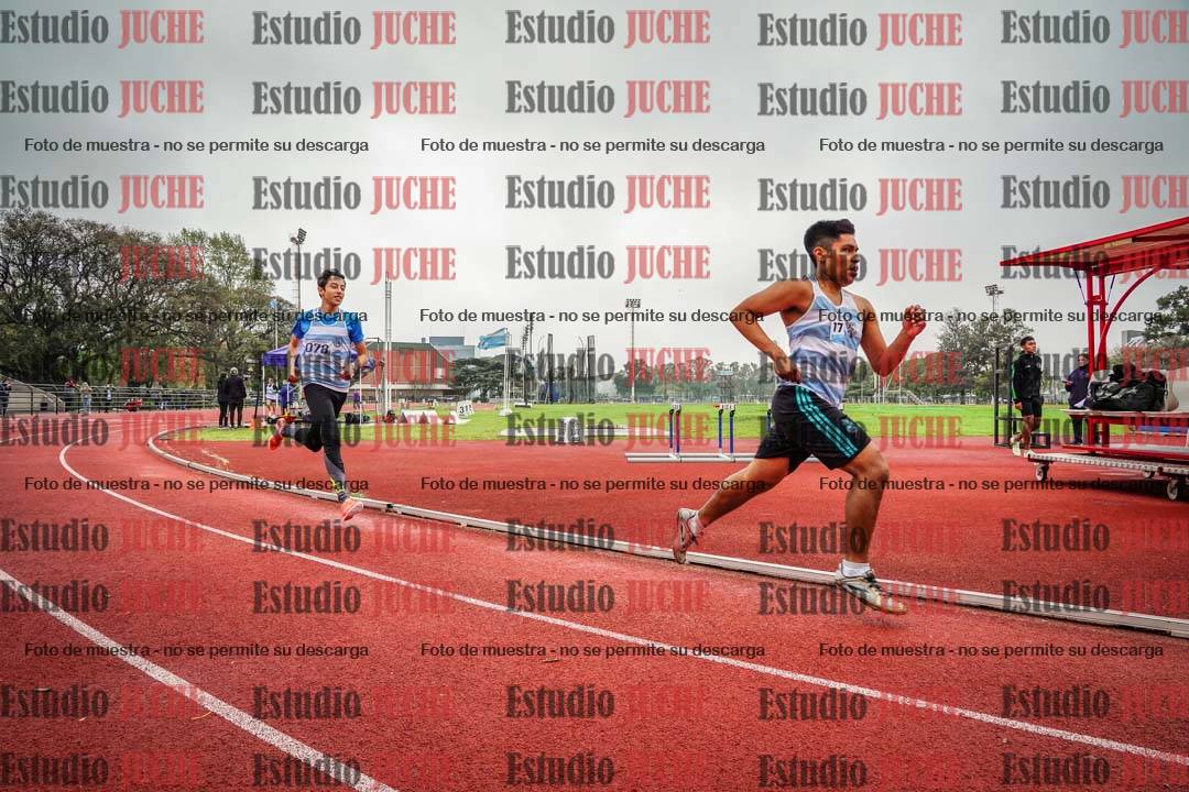 Fotos de los 800 m llanos de varones