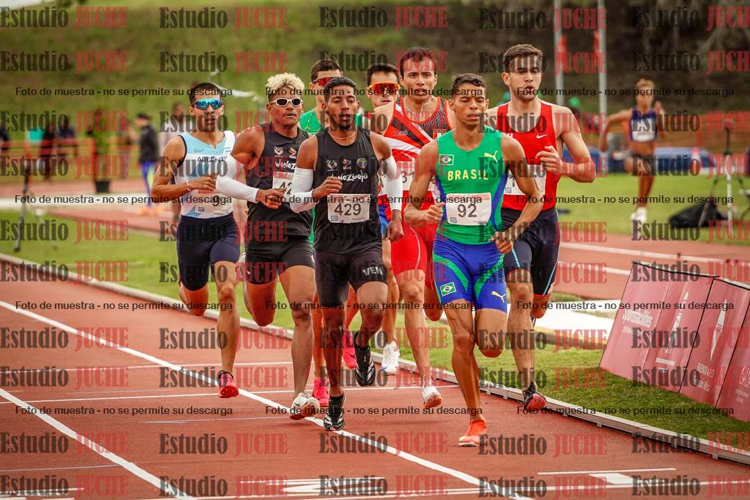 Fotos de los 800 m llanos de varones - FINAL