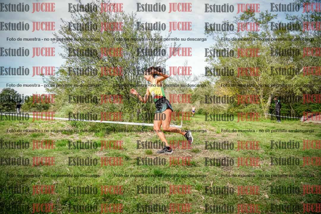 Fotos en el circuito