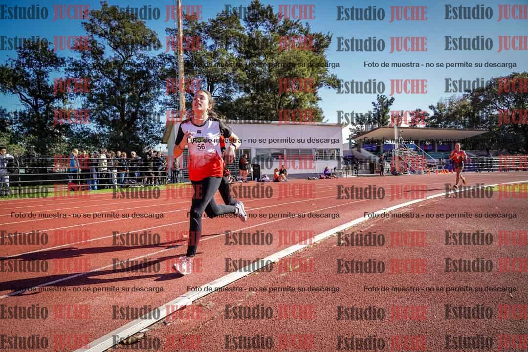 Fotos de los 800 m llanos de mujeres