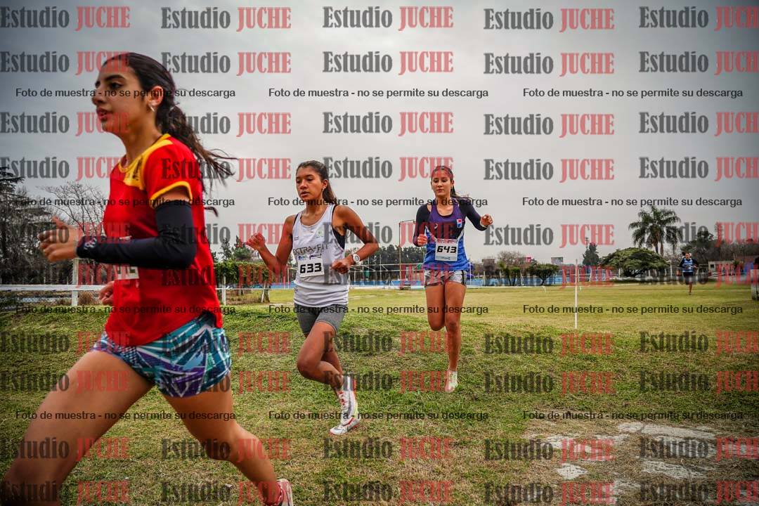 Fotos en el circuito