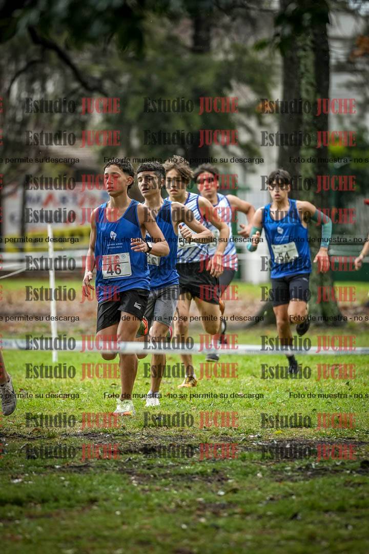 Fotos en el circuito