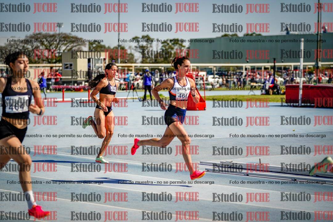 Fotos de los 800 m llanos de mujeres