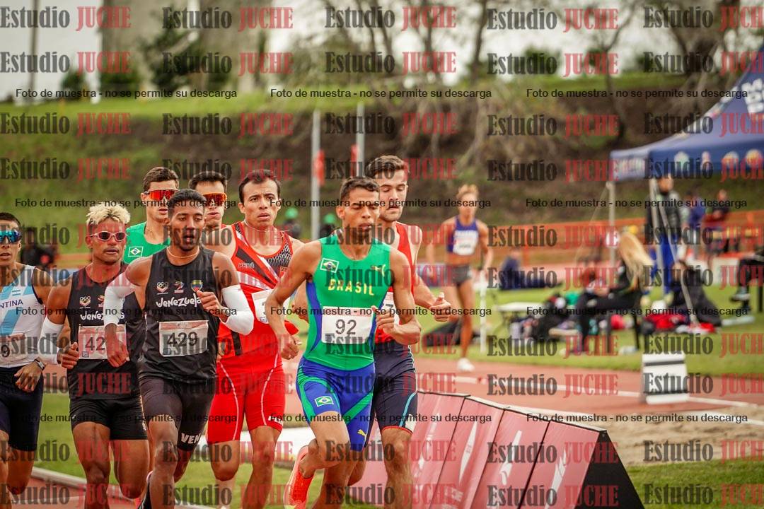 Fotos de los 800 m llanos de varones - FINAL