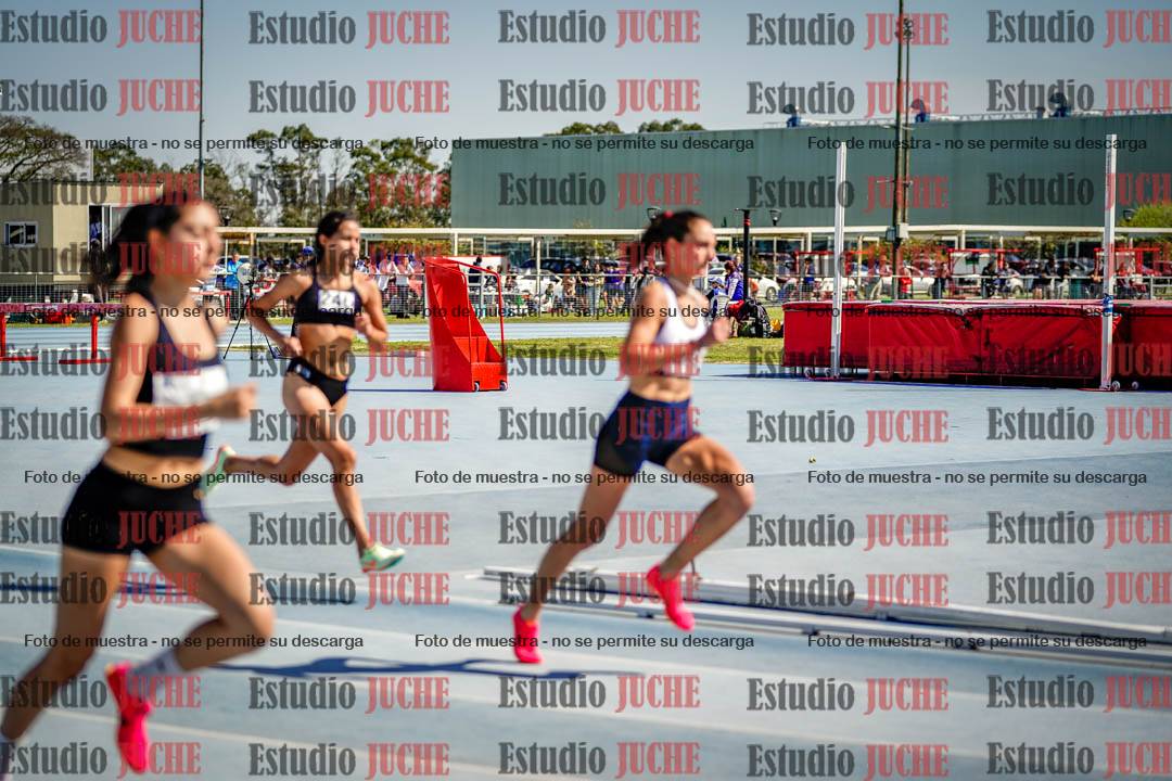Fotos de los 800 m llanos de mujeres