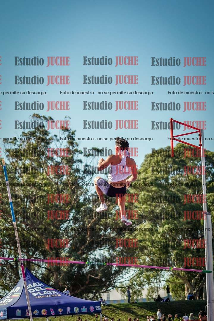 Fotos del salto con garrocha de varones - FINAL
