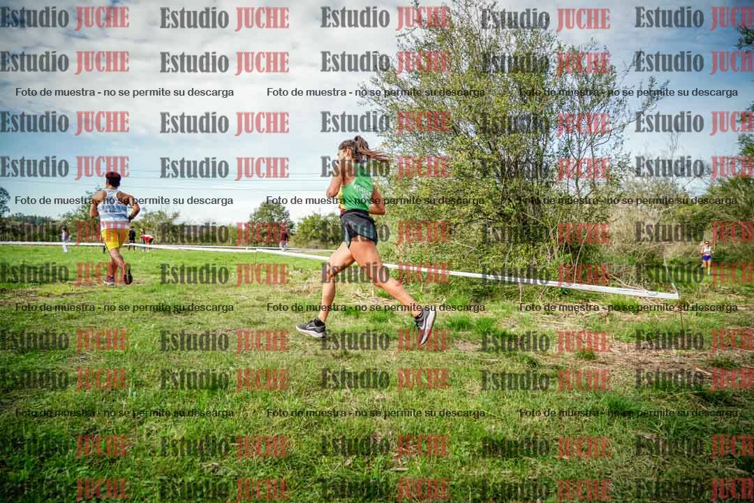 Fotos en el circuito
