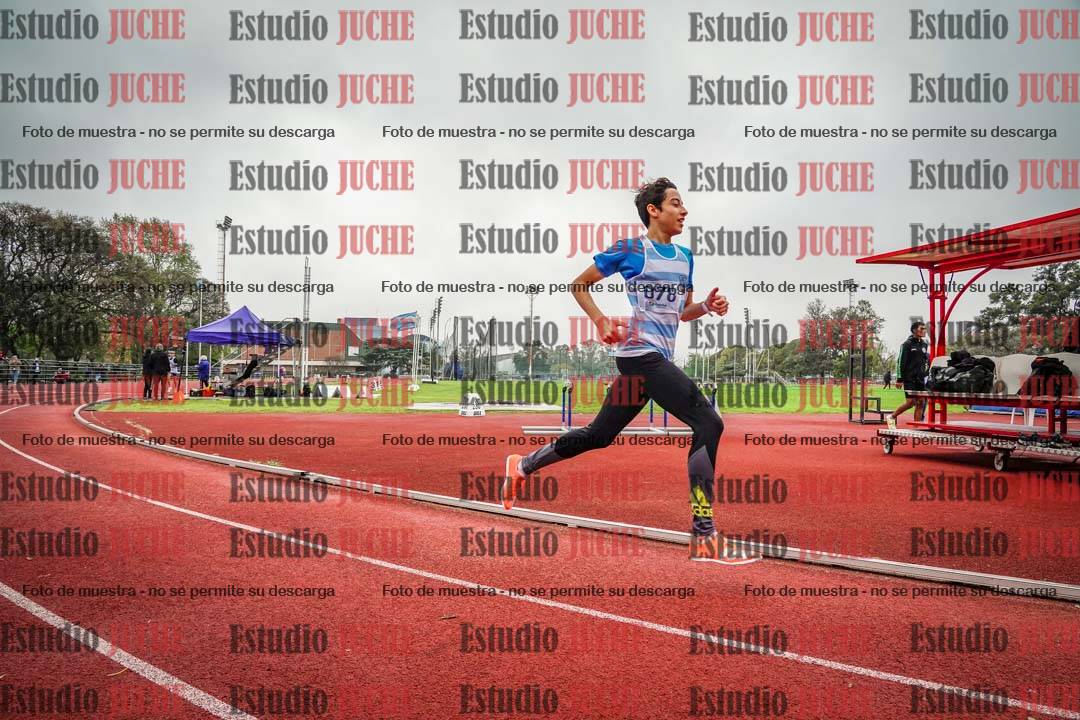Fotos de los 800 m llanos de varones