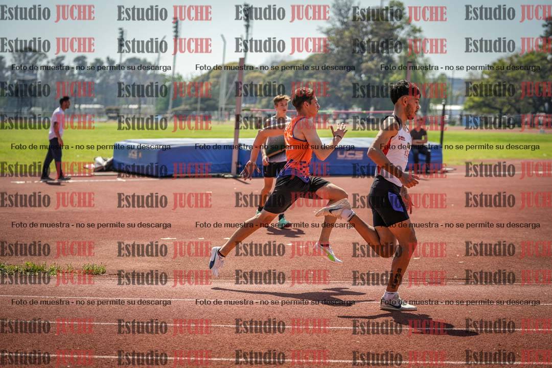 Fotos de los 800 m llanos de varones