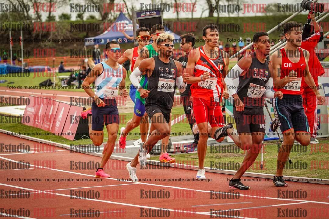 Fotos de los 800 m llanos de varones - FINAL