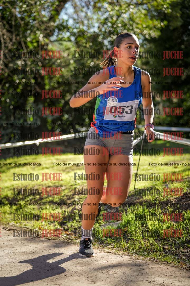 Fotos en el cuarto punto del circuito