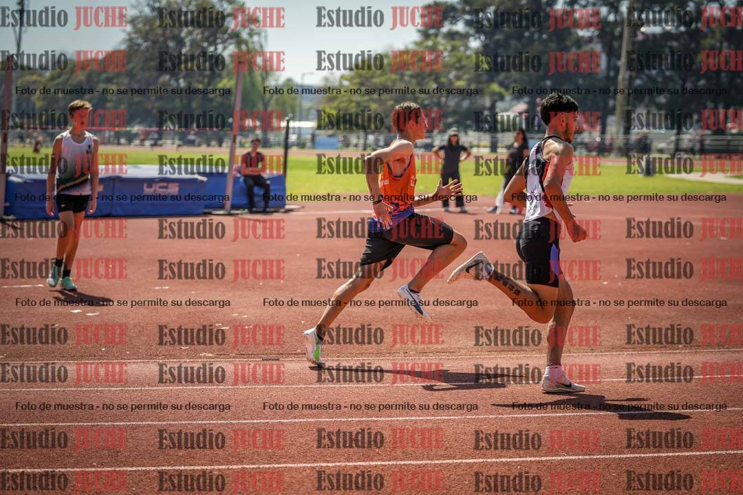Fotos de los 800 m llanos de varones