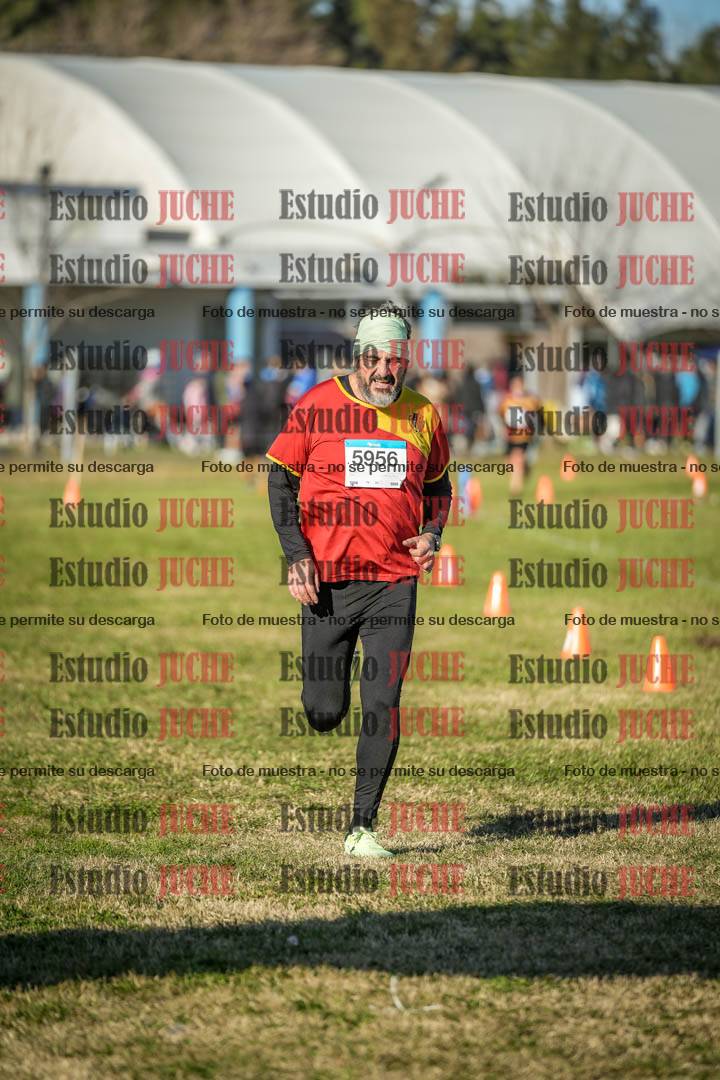 Fotos de las llegadas