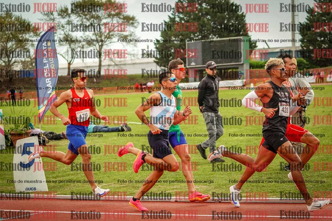 Fotos de los 800 m llanos de varones - FINAL