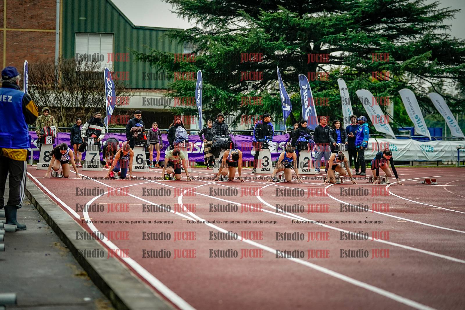Fotos de los 100 m llanos de mujeres