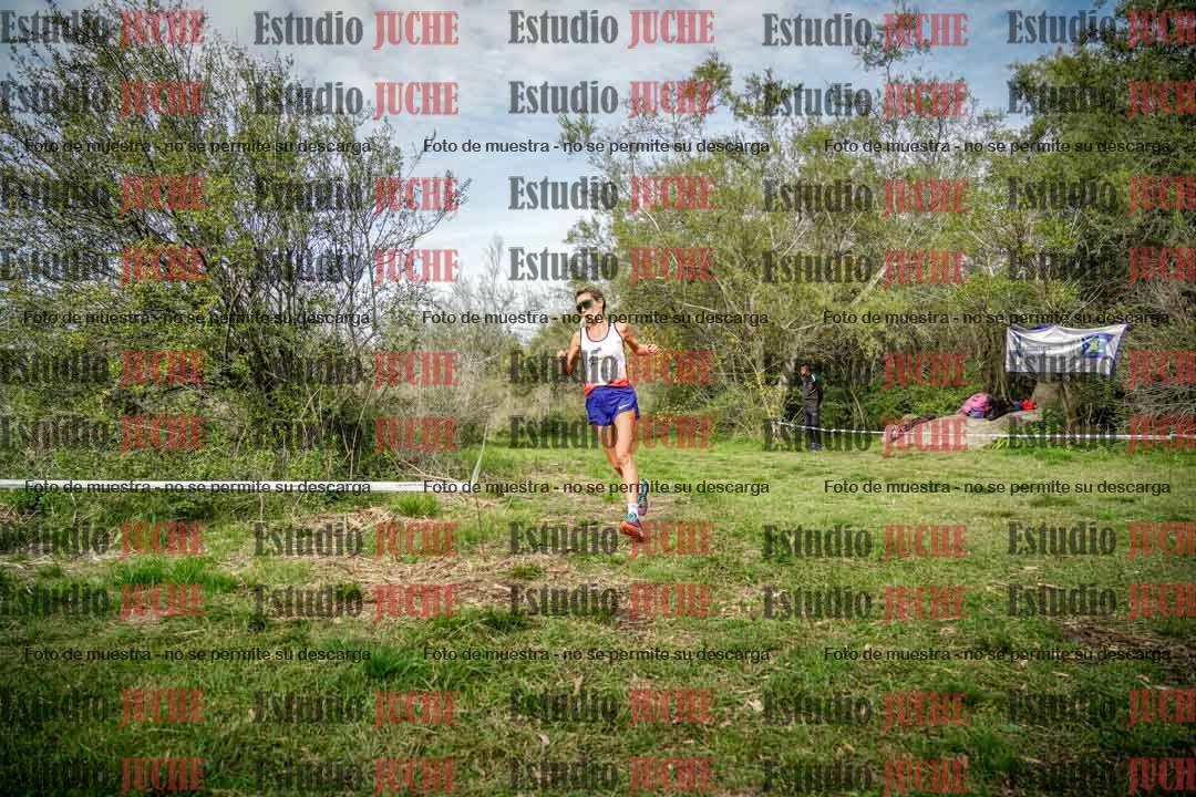 Fotos en el circuito