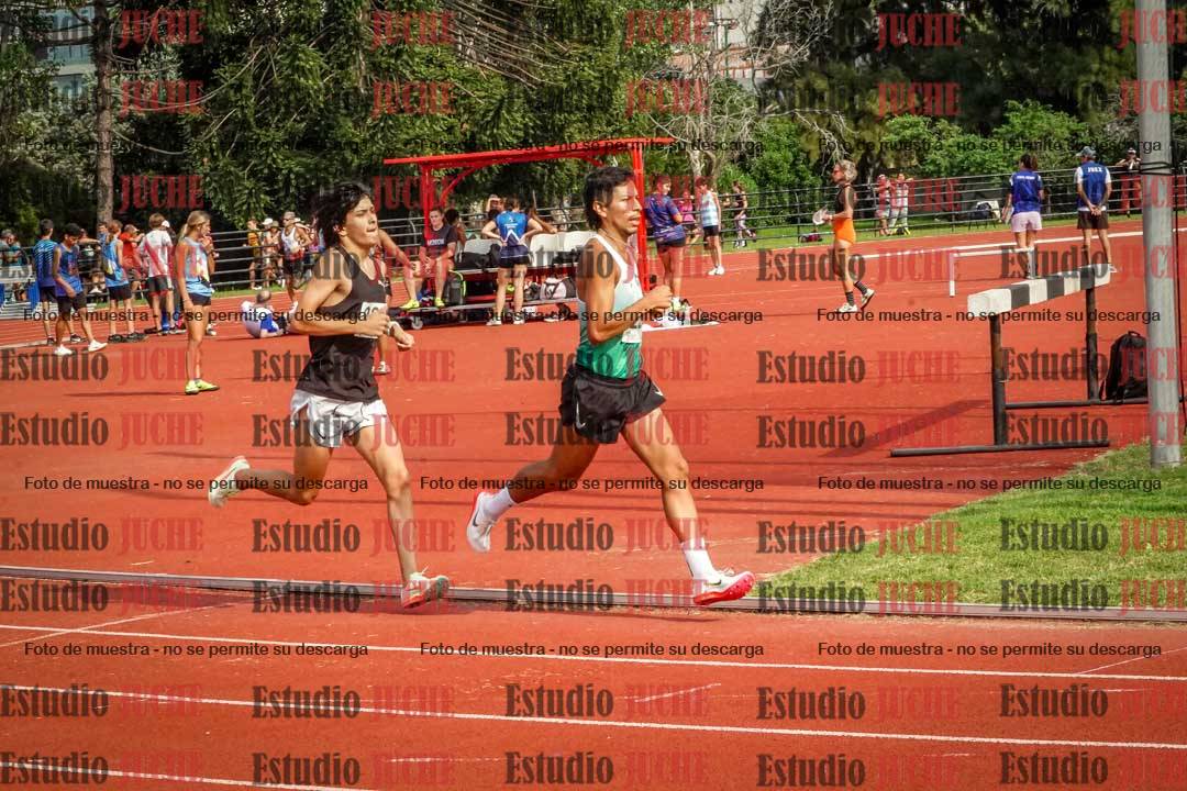Fotos de los 3000 m llanos de varones