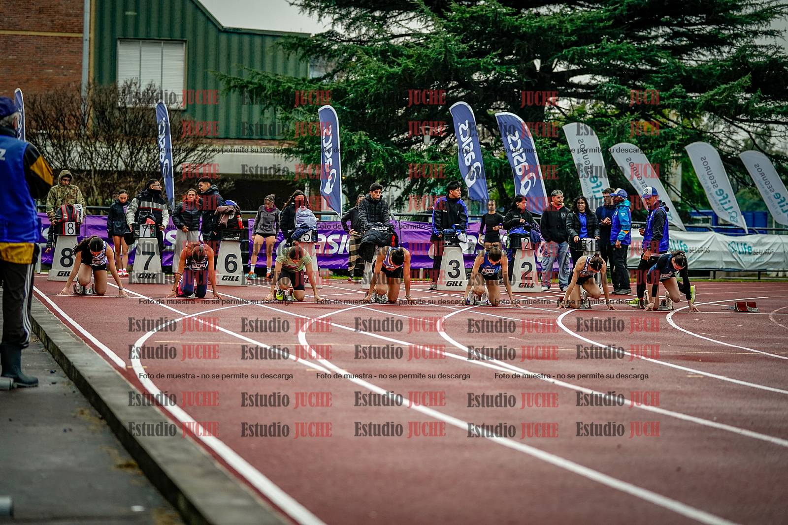 Fotos de los 100 m llanos de mujeres