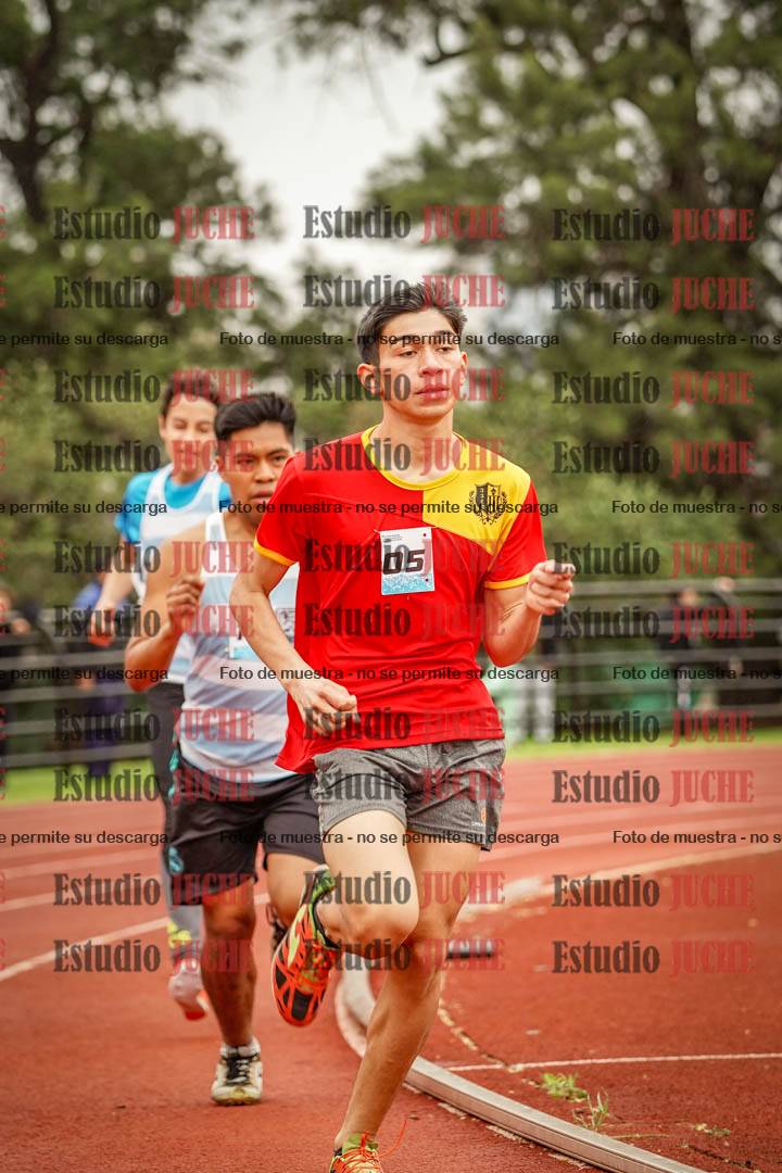 Fotos de los 800 m llanos de varones