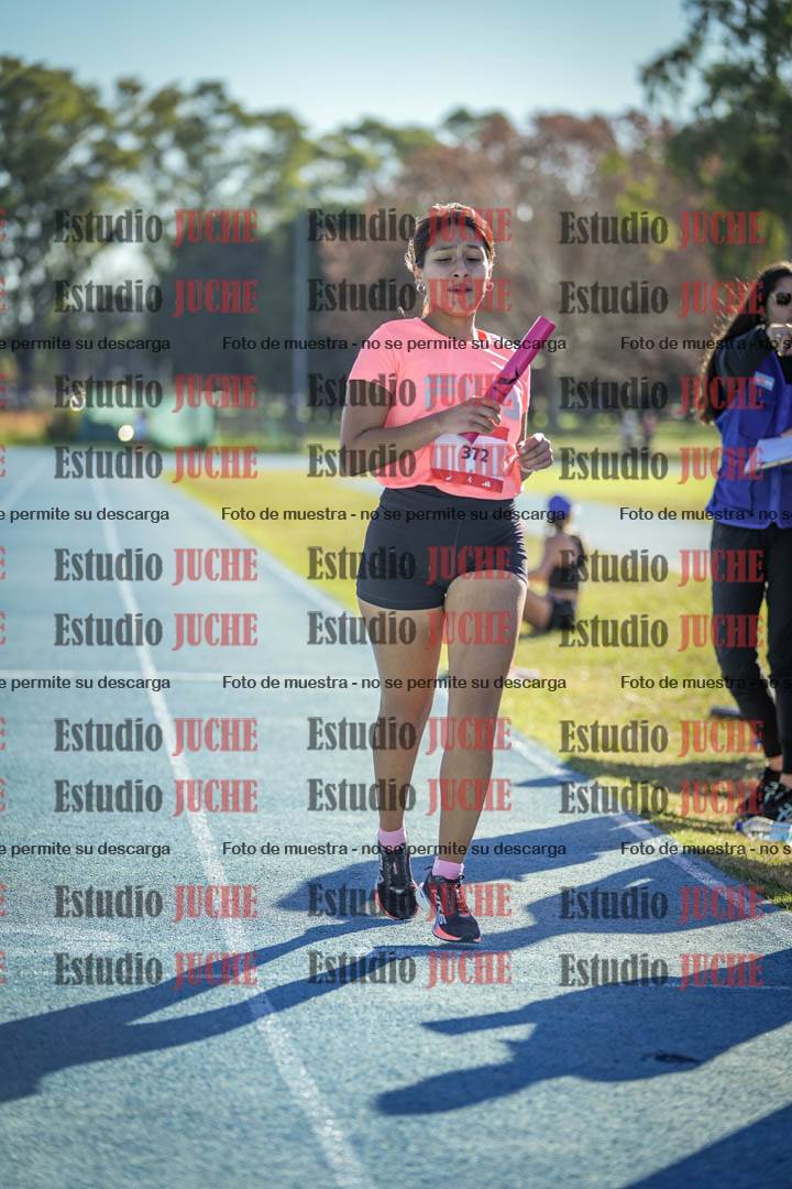 Fotos de las llegadas