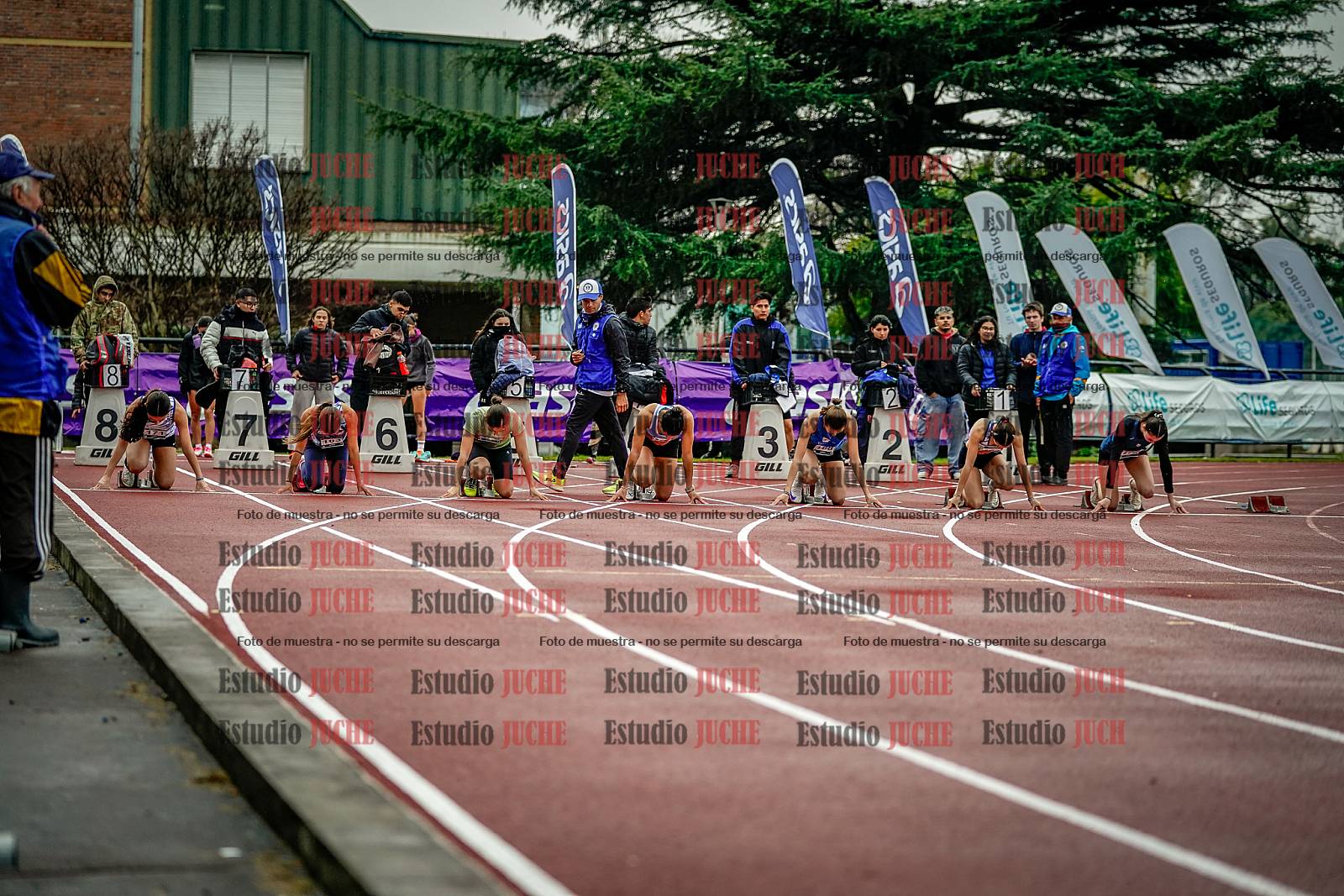 Fotos de los 100 m llanos de mujeres