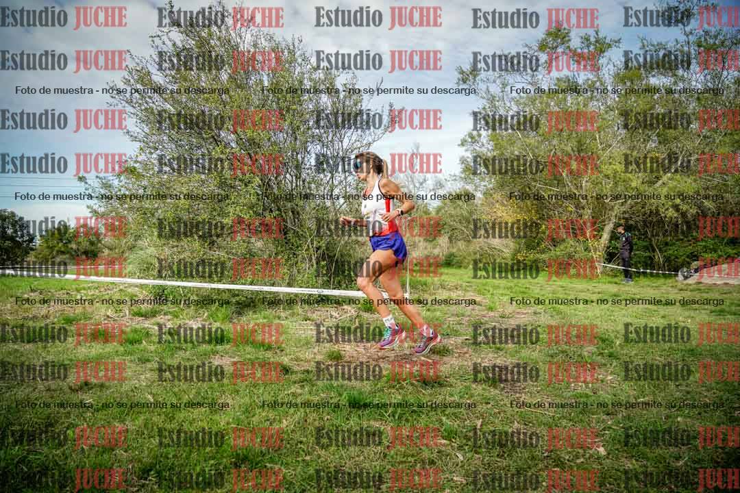 Fotos en el circuito