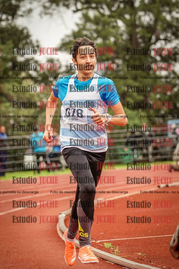 Fotos de los 800 m llanos de varones