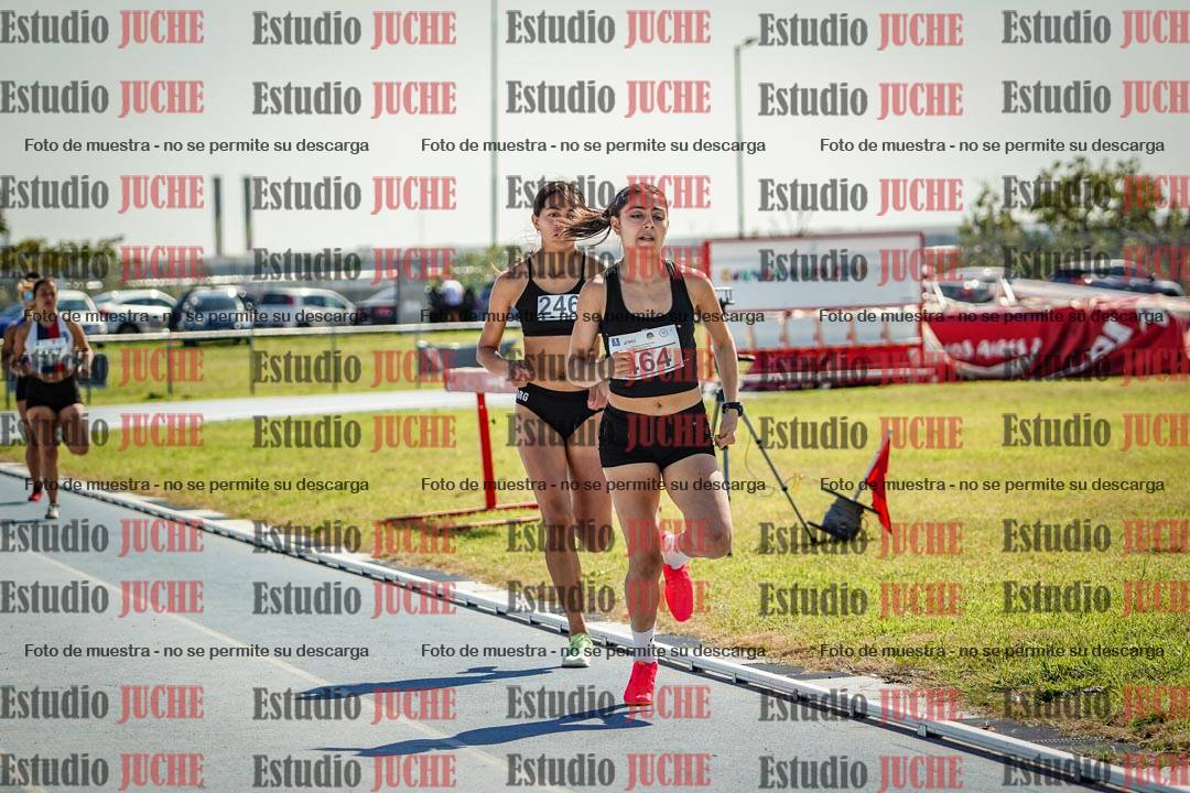 Fotos de los 800 m llanos de mujeres