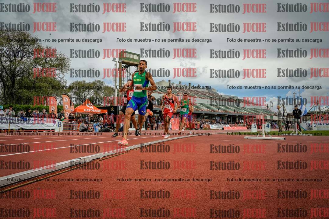 Fotos de los 800 m llanos de varones - FINAL