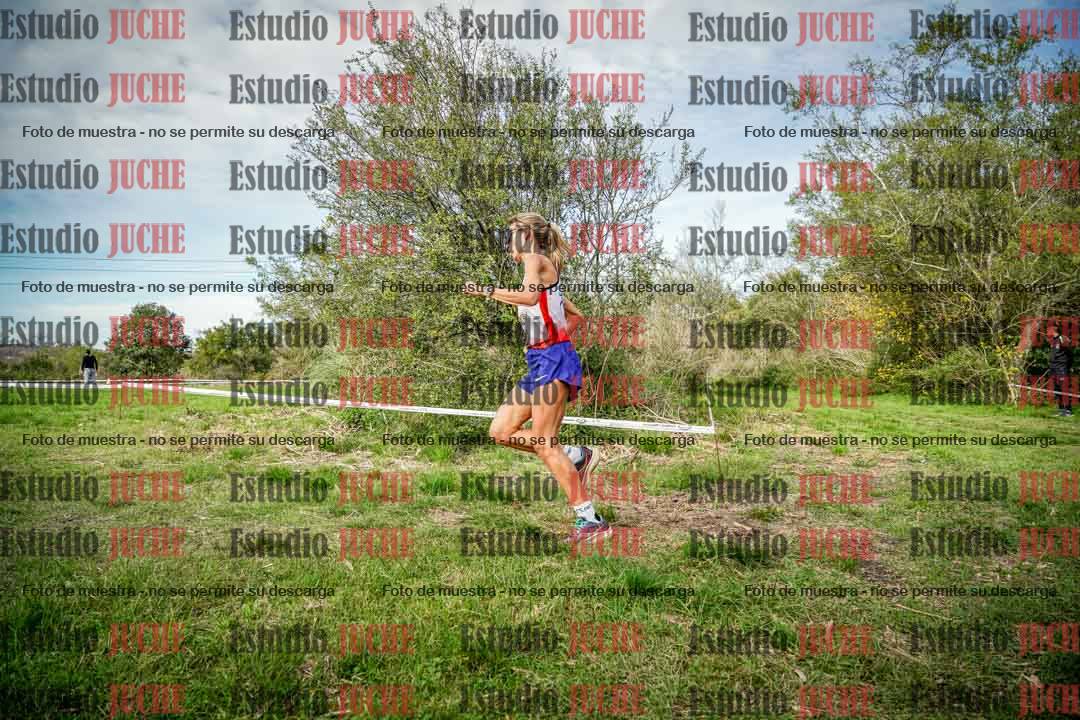 Fotos en el circuito