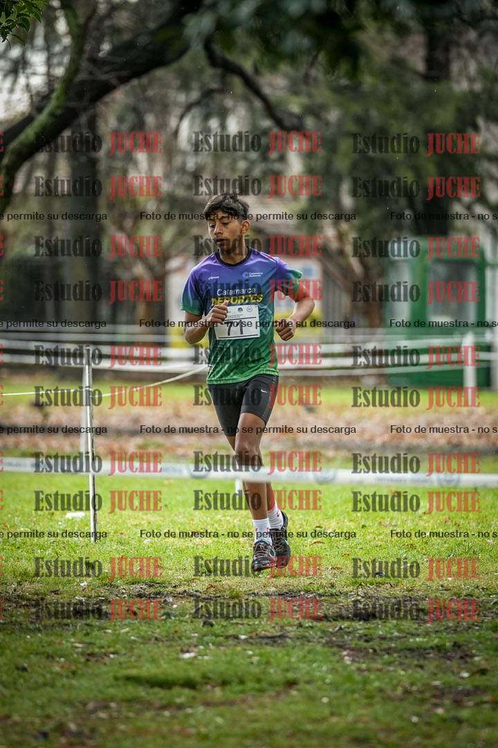 Fotos en el circuito