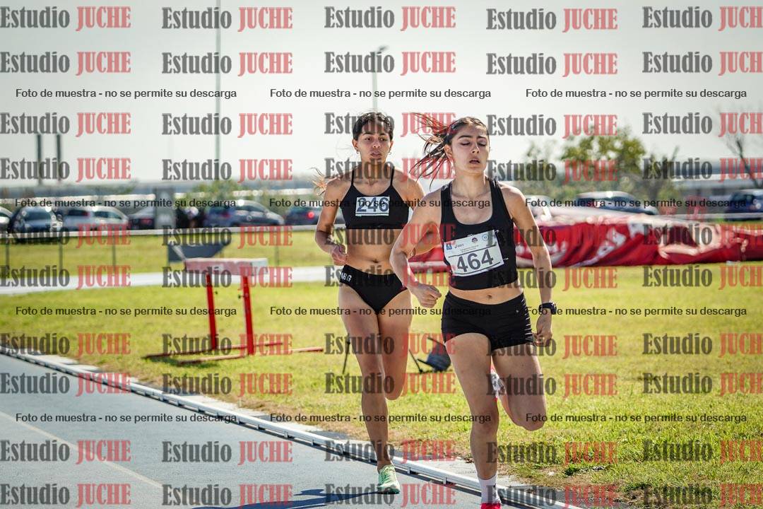 Fotos de los 800 m llanos de mujeres