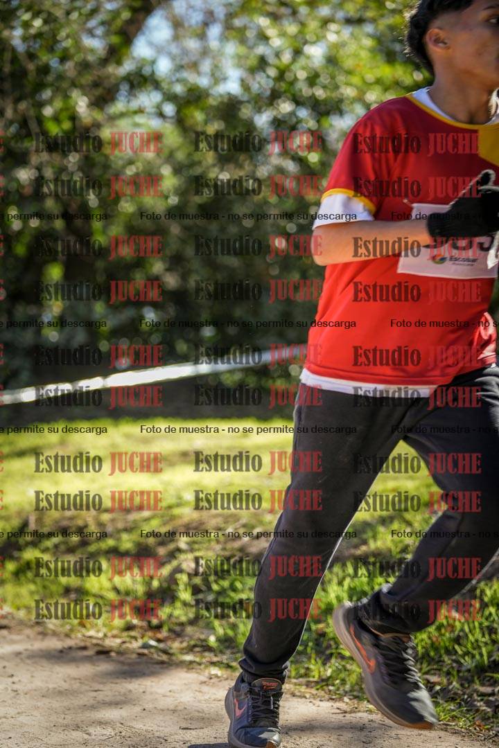 Fotos en el cuarto punto del circuito