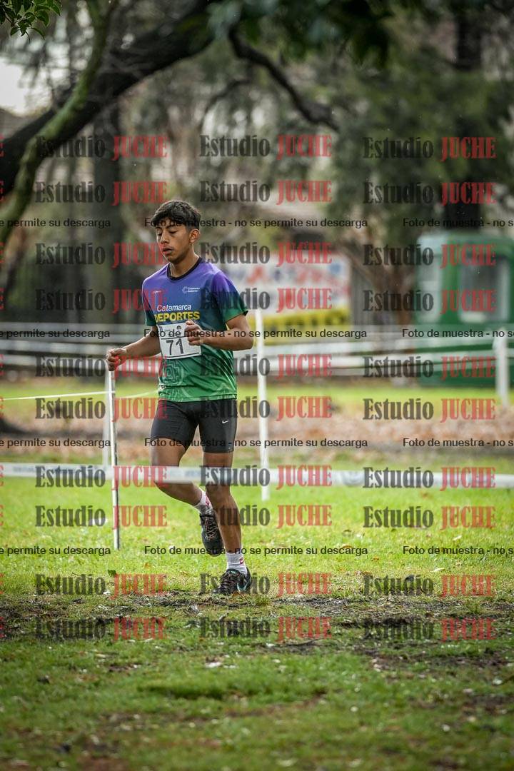 Fotos en el circuito