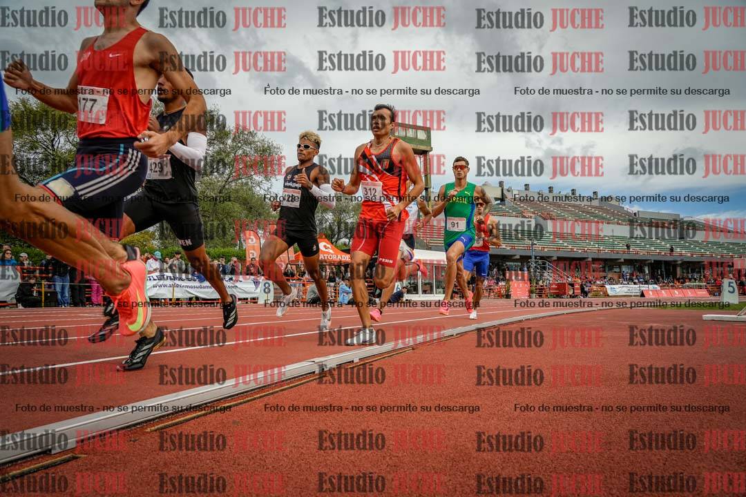 Fotos de los 800 m llanos de varones - FINAL